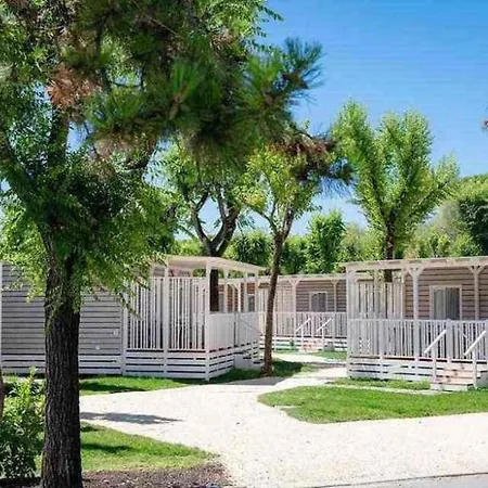 In 54595 Apartman *